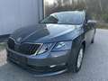 Skoda Octavia Ambition Grau - thumbnail 1