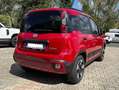 Fiat Panda Panda III 2021 Cross 1.0 firefly hybrid Cross s Rosso - thumbnail 3