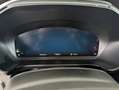 Ford Kuga 2,5 Duratec FHEV ST-Line X Aut. Inkl. Winterkom... Grün - thumbnail 18