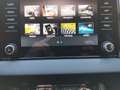 Skoda Karoq Selection TSI Rot - thumbnail 14