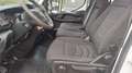 Iveco Daily CDC 35S13D 2.3 375/3500 H1 Dubbel cabine Wit - thumbnail 6