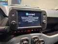 Fiat Panda Panda 1.0 FireFly Hybrid City Cross Blu/Azzurro - thumbnail 14