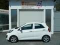 Kia Picanto Edition 7 Blanco - thumbnail 1