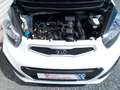 Kia Picanto Edition 7 Blanco - thumbnail 12