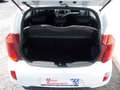 Kia Picanto Edition 7 Blanco - thumbnail 6