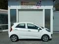 Kia Picanto Edition 7 Blanco - thumbnail 14