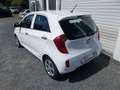 Kia Picanto Edition 7 Blanco - thumbnail 4