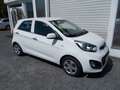 Kia Picanto Edition 7 Blanco - thumbnail 15