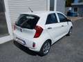 Kia Picanto Edition 7 Blanco - thumbnail 13