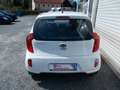 Kia Picanto Edition 7 Blanco - thumbnail 5