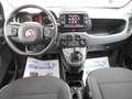 Fiat Panda Panda Cross 1.0 FireFly 9Perfet Sc44% Blanco - thumbnail 10