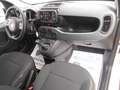 Fiat Panda Panda Cross 1.0 FireFly 9Perfet Sc44% Blanco - thumbnail 12