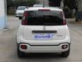 Fiat Panda Panda Cross 1.0 FireFly 9Perfet Sc44% Blanco - thumbnail 13