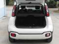 Fiat Panda Panda Cross 1.0 FireFly 9Perfet Sc44% Blanco - thumbnail 14