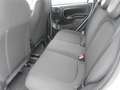 Fiat Panda Panda Cross 1.0 FireFly 9Perfet Sc44% Blanco - thumbnail 16