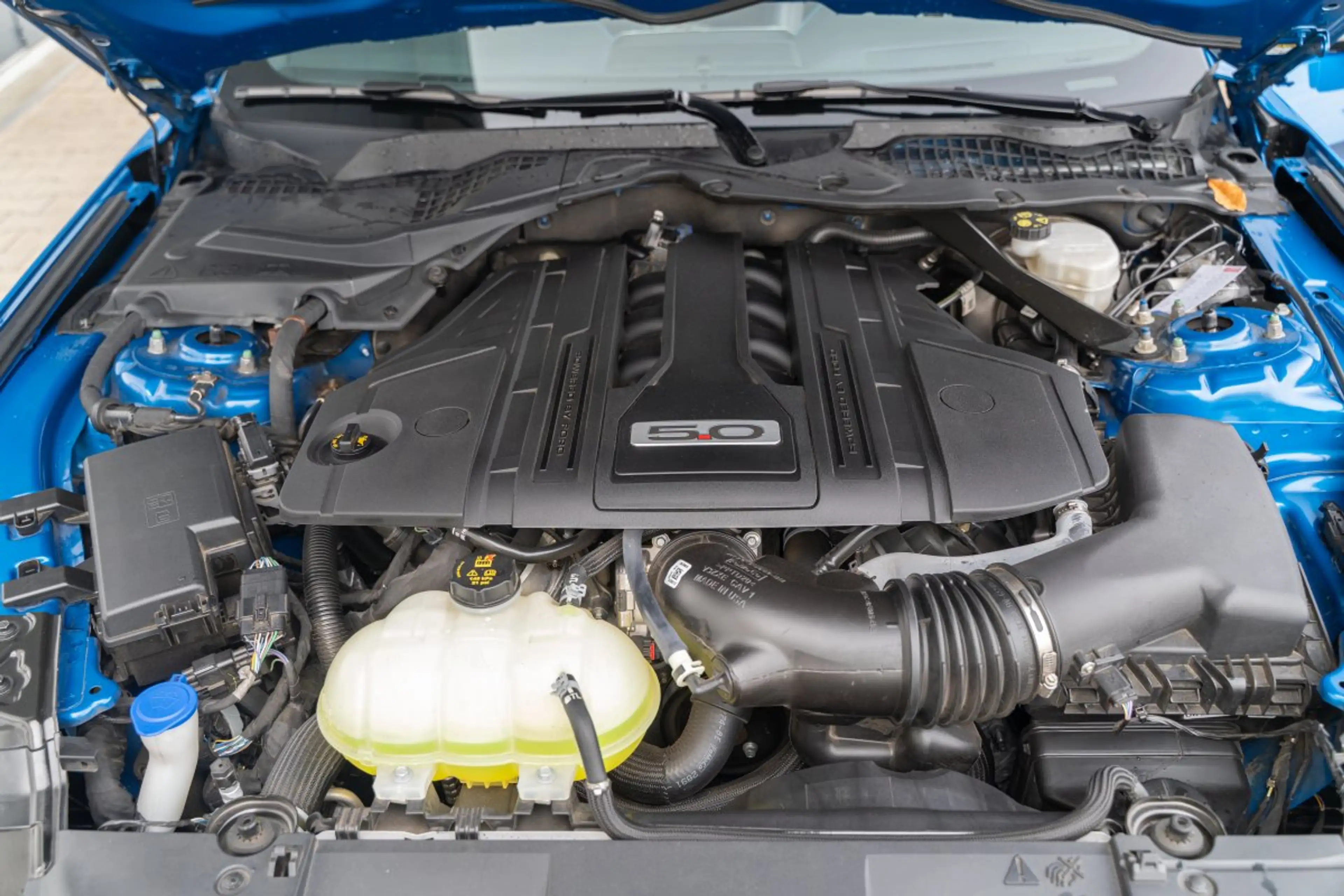 Ford Mustang GT 5.0 Fastback MagneRide/Heckspoiler/Ford-Garanti — photo 11