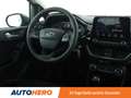 Ford Fiesta 1.0 EcoBoost Trend *NAVI*TEMPO*SPUR*KLIMA* Gris - thumbnail 13