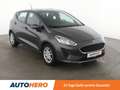 Ford Fiesta 1.0 EcoBoost Trend *NAVI*TEMPO*SPUR*KLIMA* Gris - thumbnail 8