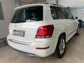 Mercedes-Benz GLK 200 /7G/PANO/SHZ/KLIMA/LED/AHK/ Weiß - thumbnail 3