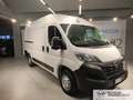 Opel Movano Blanc - thumbnail 3