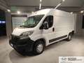 Opel Movano Blanc - thumbnail 1