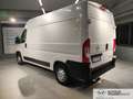 Opel Movano Blanc - thumbnail 2