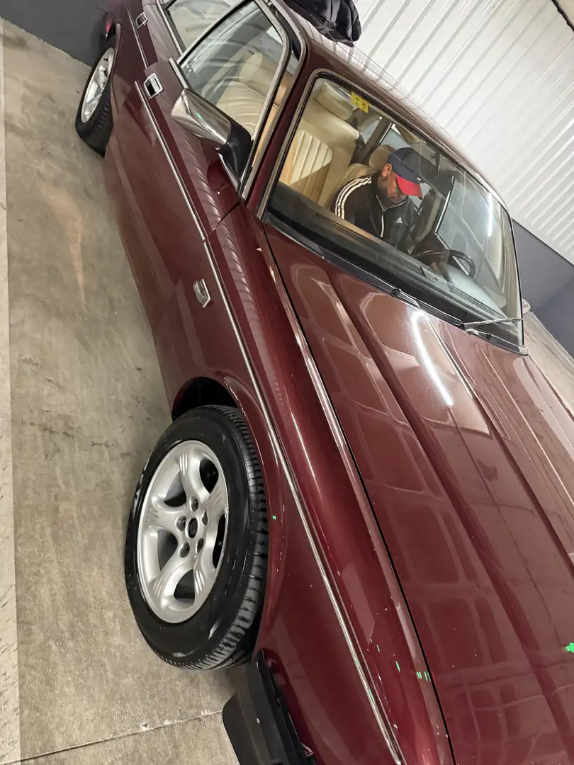 Daimler Sovereign Violett - 1