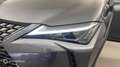 Lexus UX 300h 300h Luxe 2WD - thumbnail 19