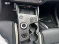 Kia Sportage SPORTAGE 1.6T HEV AWD SD GT-LINE GD DRIVE SOUND Noir - thumbnail 21
