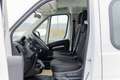Opel Movano DK Pritsche 3400mmx2090mm 7-Sitzer netto € 27.900, Weiß - thumbnail 5