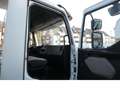 Renault Midlum 220 DXI Kühlgerät Luftfedern Ladeborwand Weiß - thumbnail 7