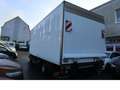 Renault Midlum 220 DXI Kühlgerät Luftfedern Ladeborwand Weiß - thumbnail 5
