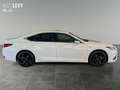 Lexus ES 300 h F-Sport *CARPLAY*360*MEMORY* Білий - thumbnail 7