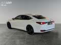 Lexus ES 300 h F-Sport *CARPLAY*360*MEMORY* Білий - thumbnail 4