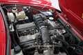 Alfa Romeo Spider 2.0 Type 4 second owner Rot - thumbnail 17