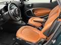 smart forTwo Fortwo eq Edition One 22kW - thumbnail 8
