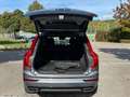 Volvo XC90 R Design AWD/AppleCarPlay/Kamera/Navi Grau - thumbnail 7