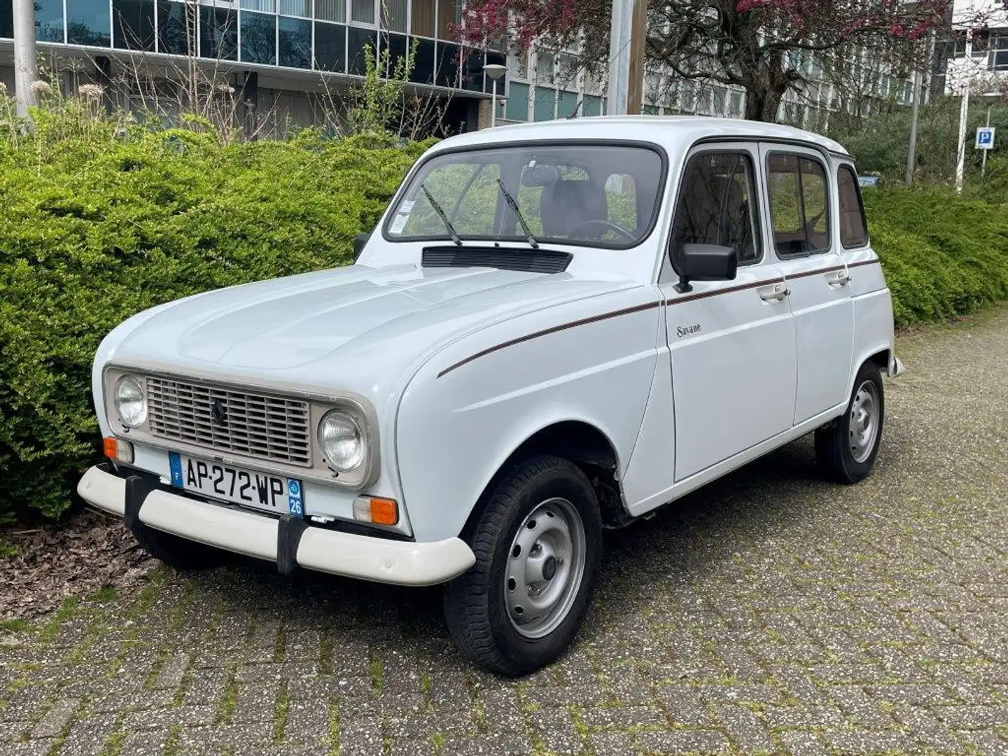 Renault 4TL Savane Weiß - 1