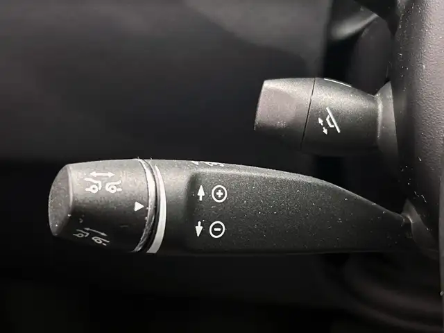 Tesla Model S view 29