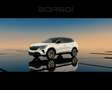Renault Austral NUOVO techno MY24 mild hybrid 160 auto Bianco - thumbnail 1