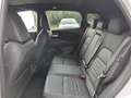 Nissan Qashqai 1,3 MHEV 4x4 N-Design+ Autom. *ab € 31.990,-* Weiß - thumbnail 11