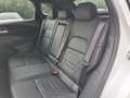 Nissan Qashqai 1,3 MHEV 4x4 N-Design+ Autom. *ab € 31.990,-* Weiß - thumbnail 12