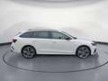Skoda Octavia Combi RS 2,0 TDI DSG Pano Bianco - thumbnail 6