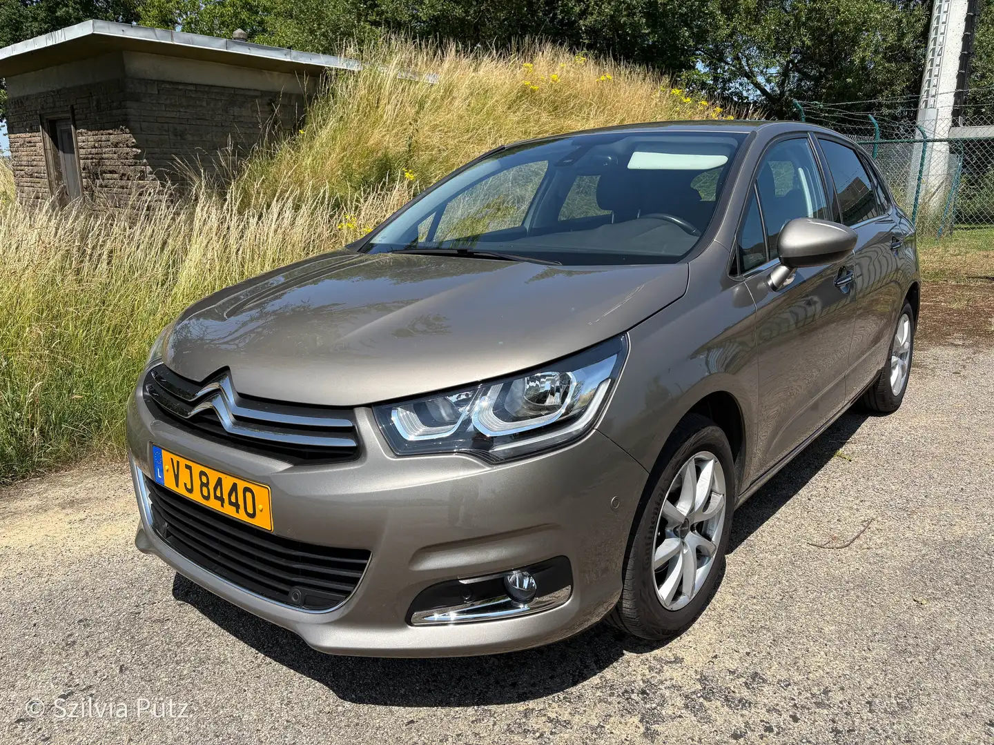 Citroen C4 C4 PureTech 130 Stop Beige - 1