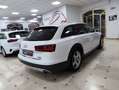 Audi A6 allroad quattro 3.0TDI S-Tronic 160kW Weiß - thumbnail 3