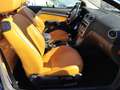 Ford Focus CC Titanium Blau - thumbnail 14