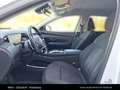 Hyundai TUCSON 2,0 CRDI 4WD Weiß - thumbnail 16