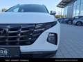 Hyundai TUCSON 2,0 CRDI 4WD Weiß - thumbnail 10