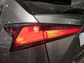 Lexus NX 300 300h Business Navigation 2WD Zilver - thumbnail 29
