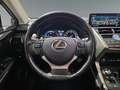 Lexus NX 300 300h Business Navigation 2WD Zilver - thumbnail 14